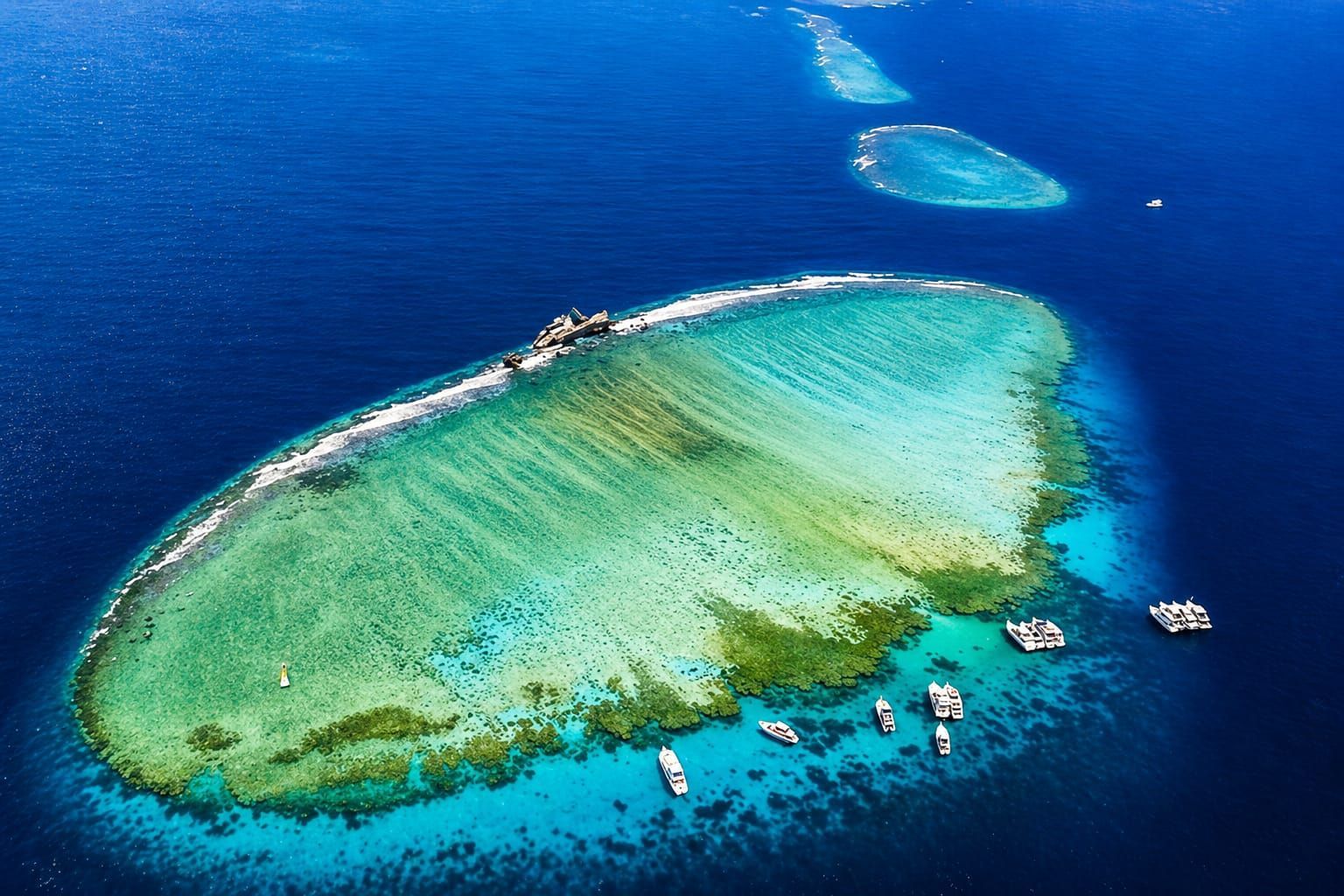 Tiran Island Diving Trip