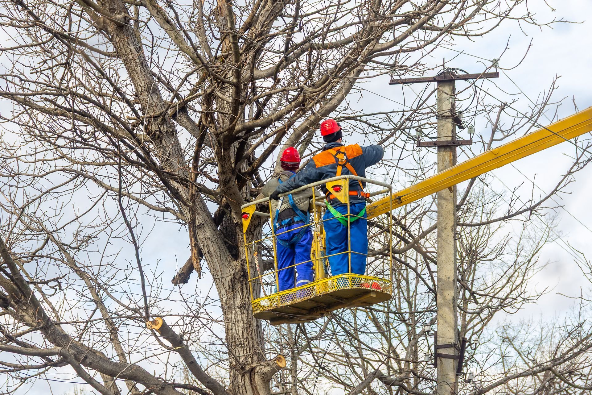 Two arborists in a hydraulic aerial platform use a chainsaw to cut tree branches.