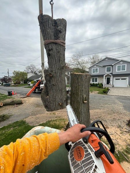 Worker in orange hard hat assessing a cut tree trunk beside a house and flowering bushes.