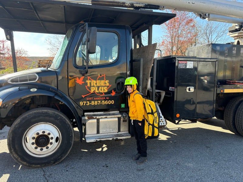 Tree service truck with worker in yellow safety gear standing beside it