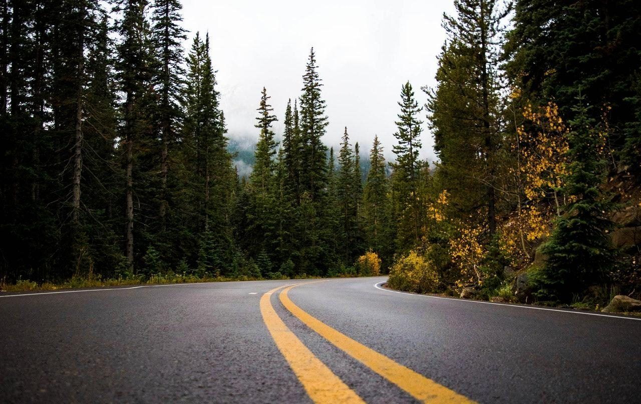 A winding, wet asphalt road with double yellow lines leads into a dense forest of evergreen trees under a cloudy sky.