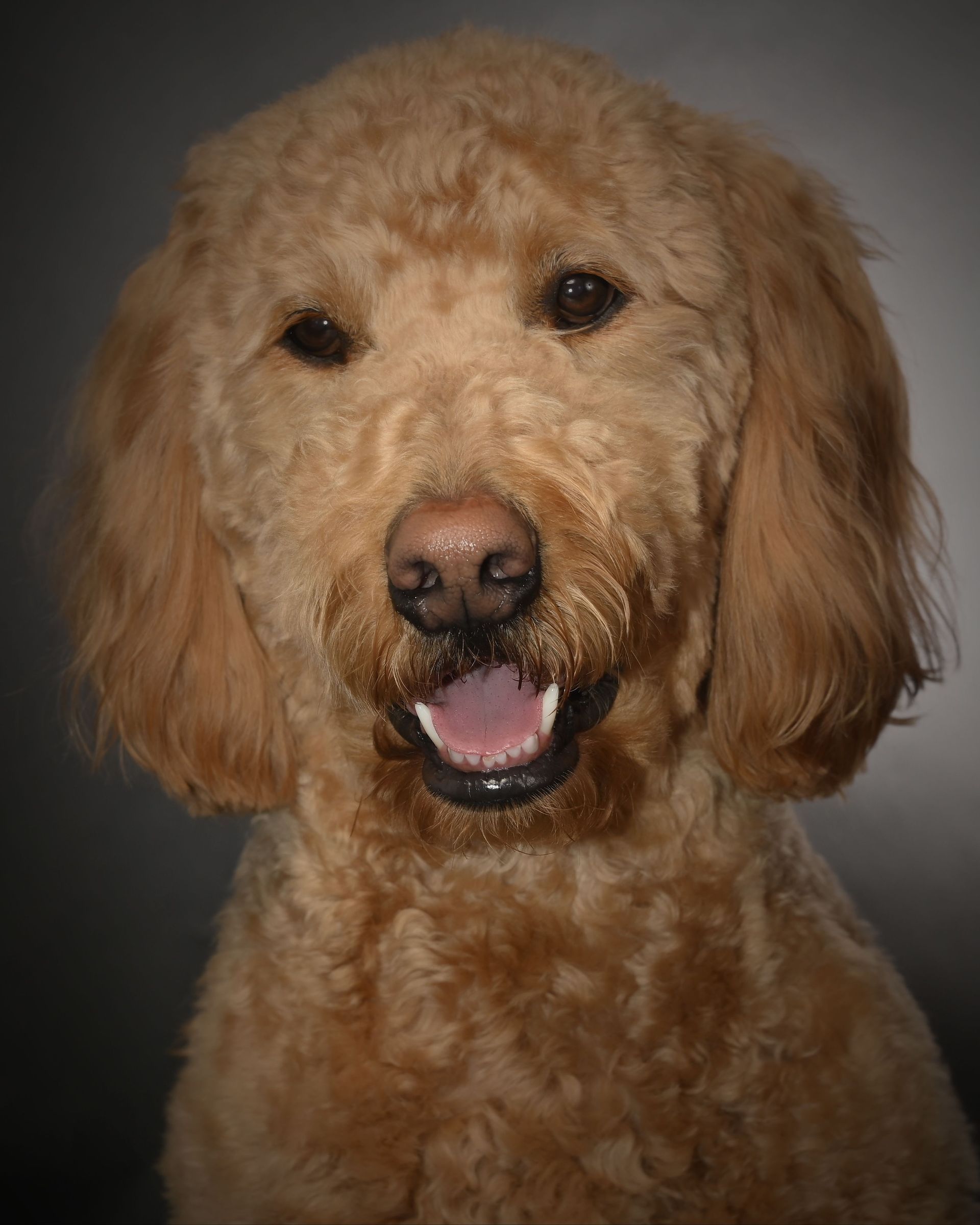 Oakley