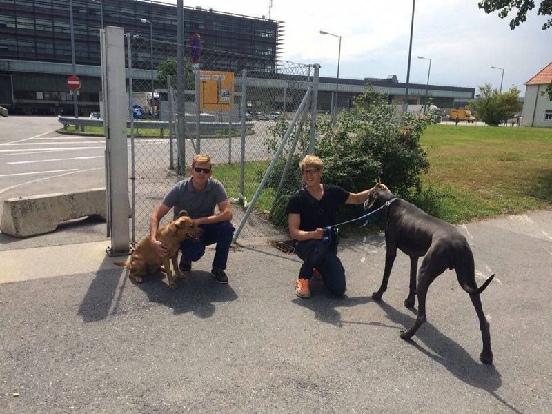 Two people crouch with dogs on a paved area near a building.