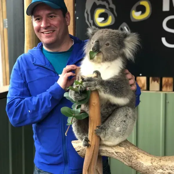 Man in blue jacket with a koala eating leaves on a branch