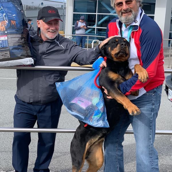 Two men holding a rottweiler