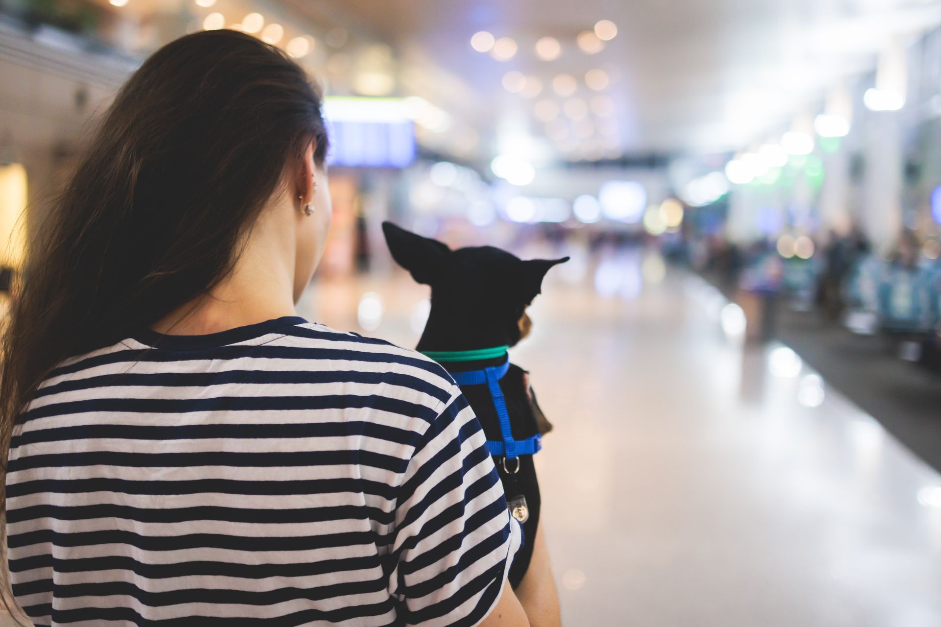 Woman holding a small black dog in an airport. Both are looking toward a blurred walkway.