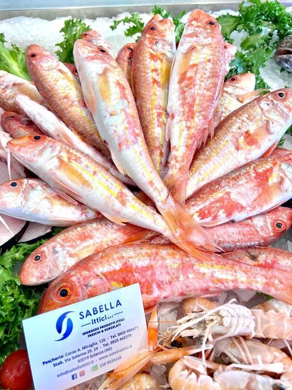pesce