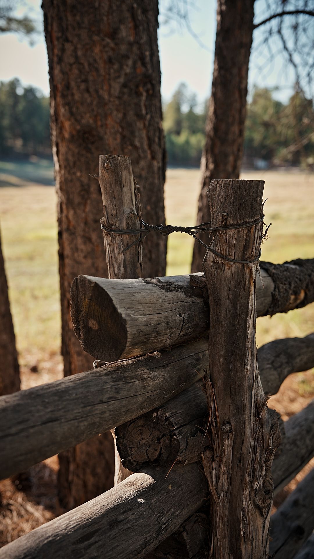 Rustic wooden fence with weathered posts in a sunny field, with tall trees in the background