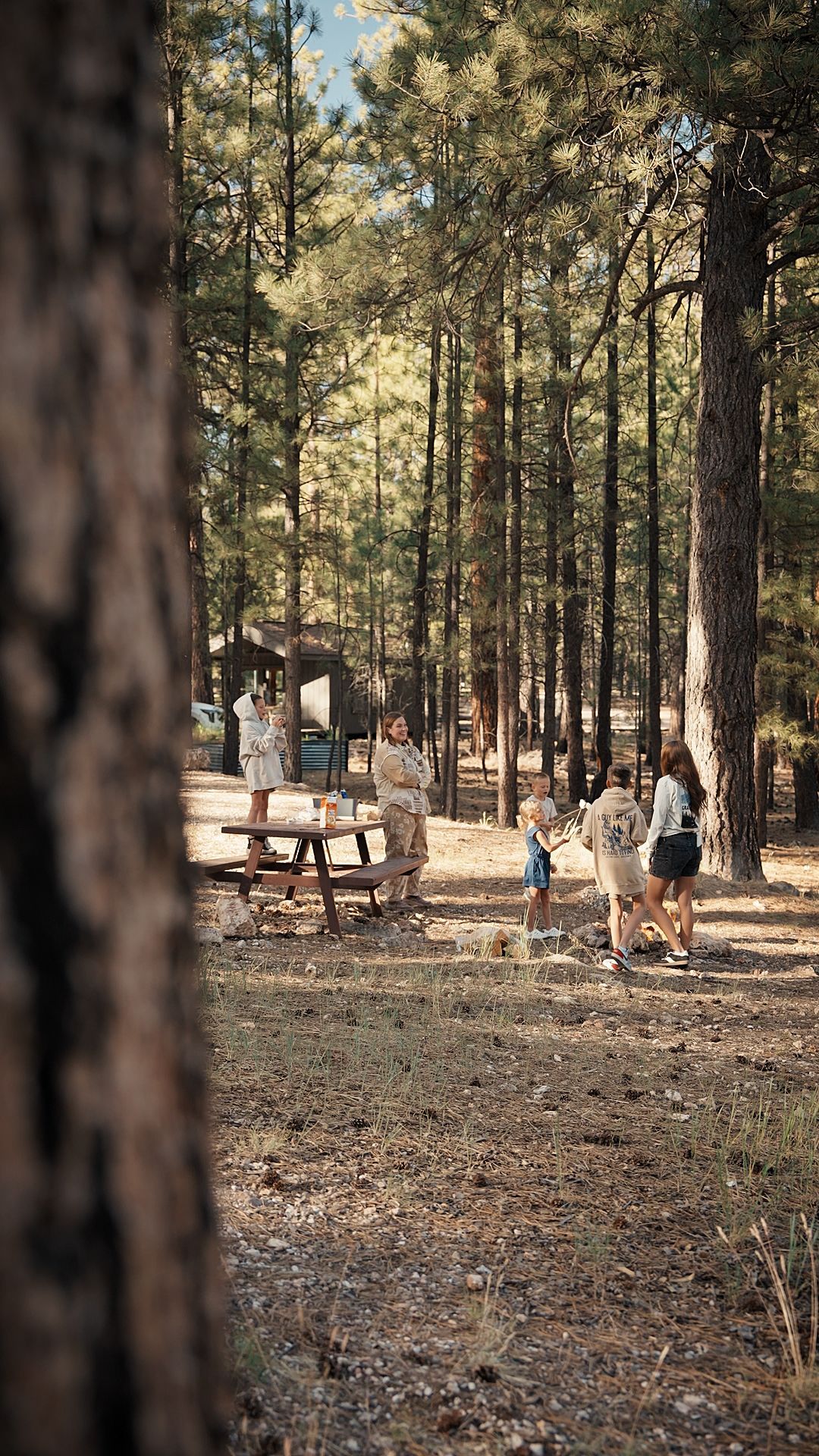 People gathered at picnic tables in a sunlit pine forest clearing.