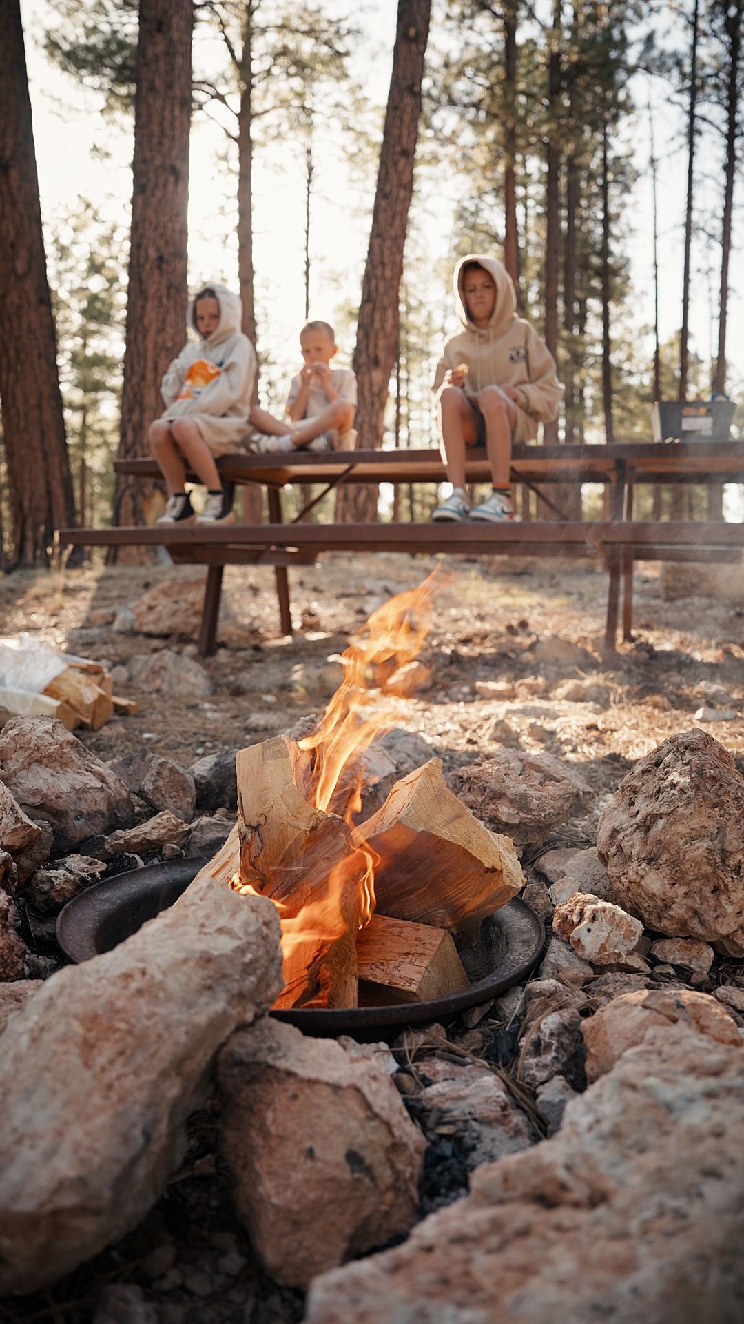 People sitting by a campfire at a picnic table in a pine forest