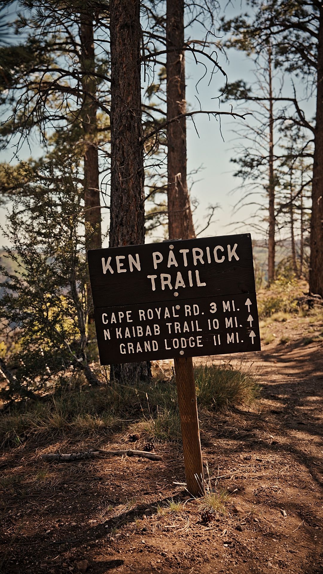 Ken Patrick Trail sign in a pine forest, listing Cape Royal and Grizzly Ridge trail distances.