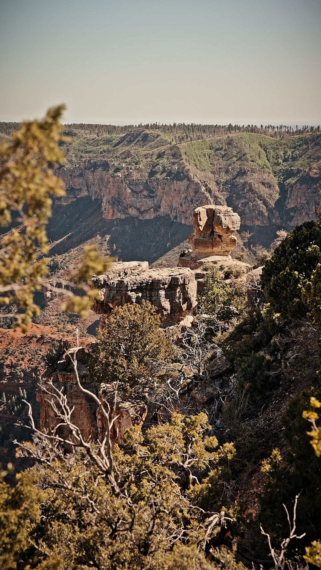 Distant red rock formation in a canyon, framed by trees under a clear sky