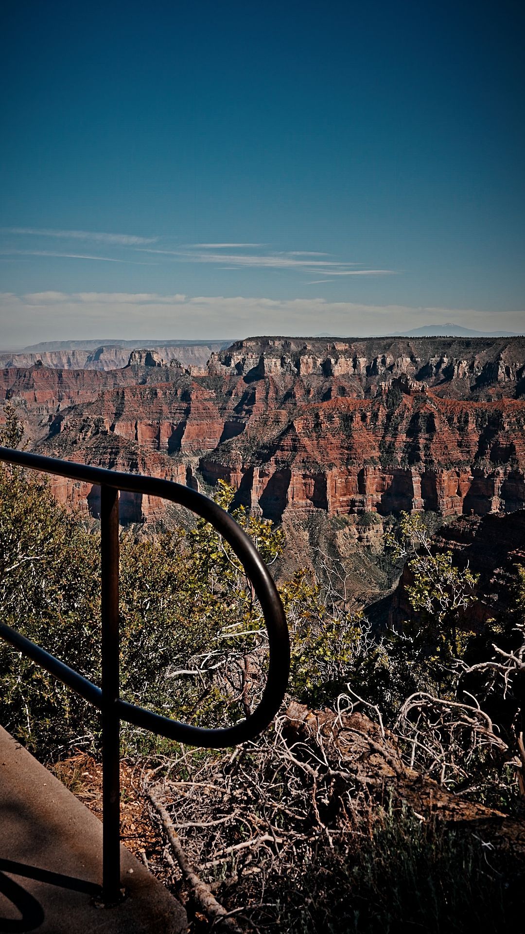 Canyon overlook with red rock cliffs under a clear blue sky, framed by a black railing and shrubs in foreground