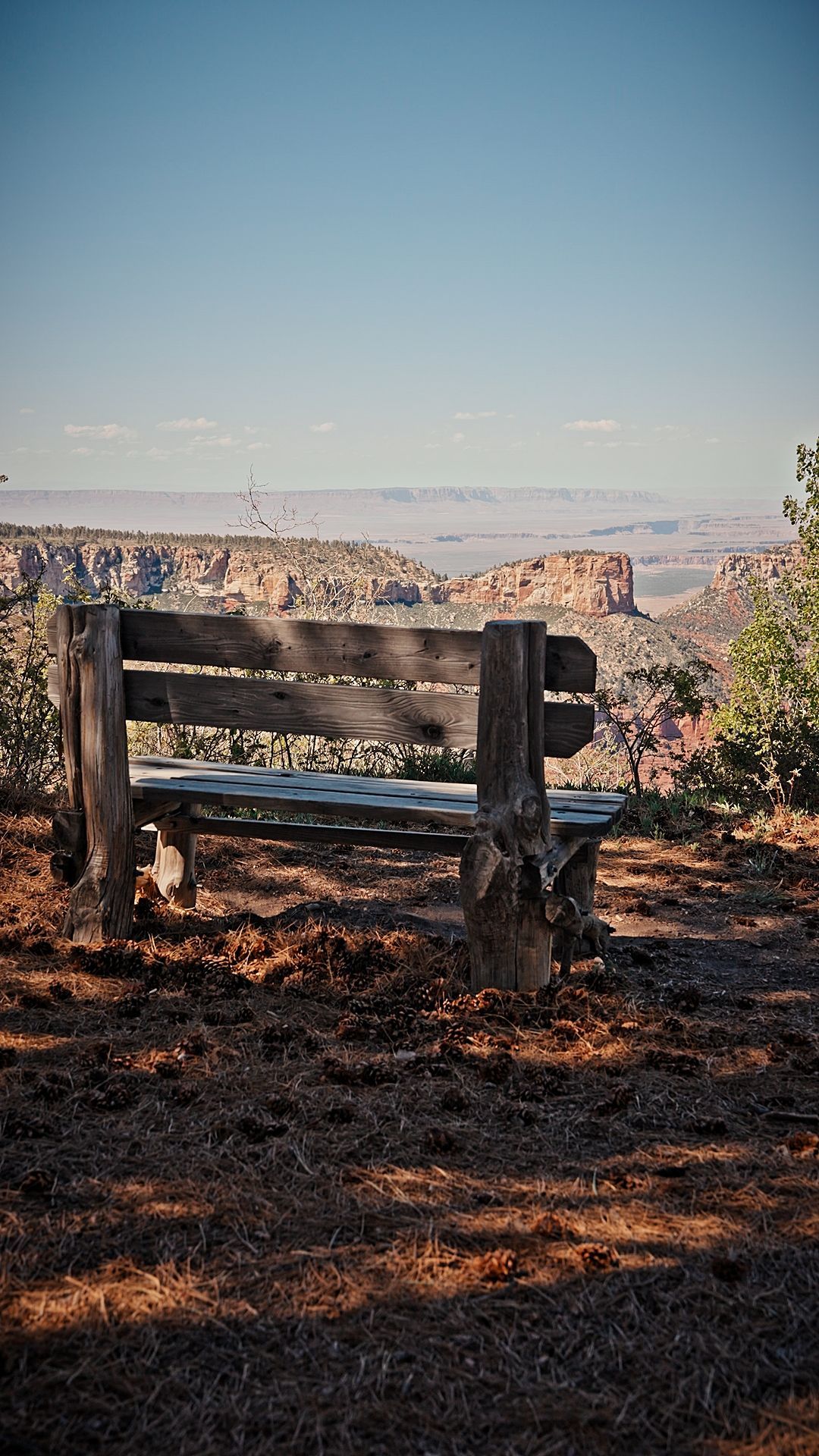 Weathered wooden bench overlooking a sunlit canyon at a scenic overlook