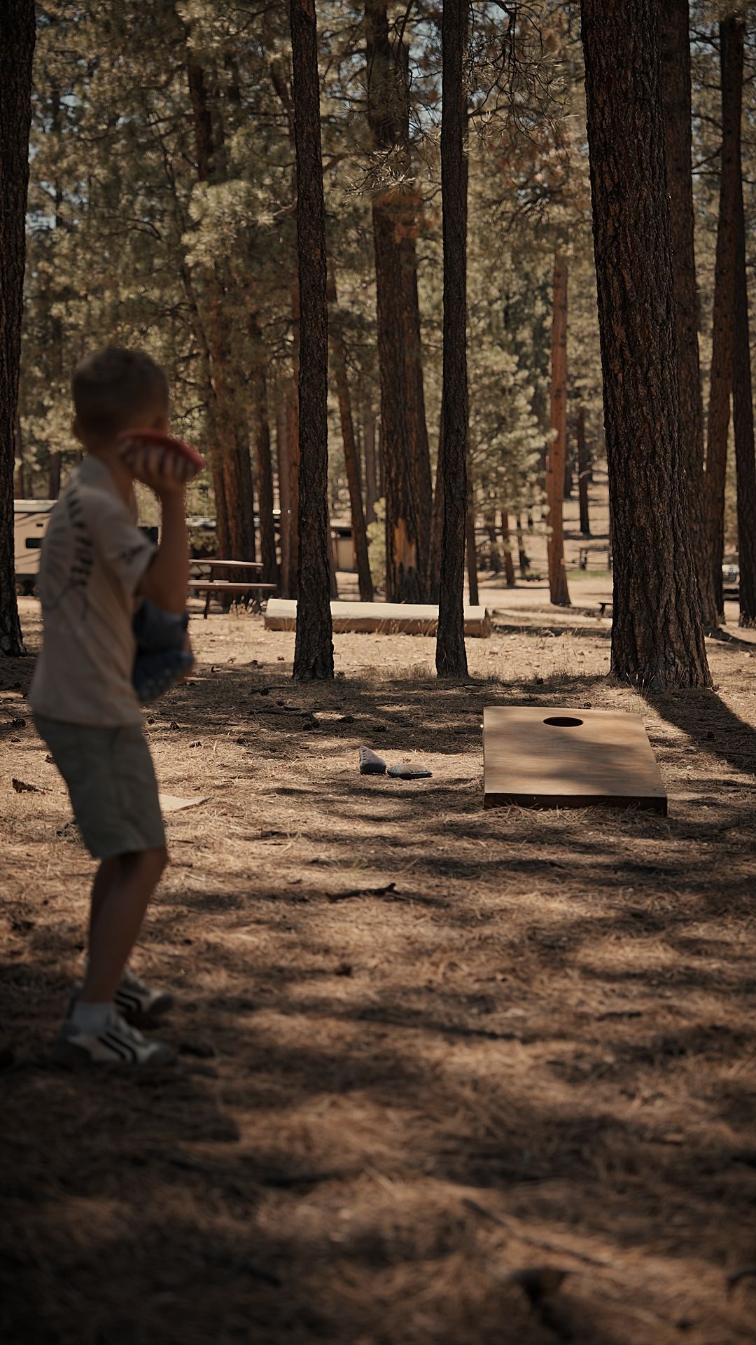 Person standing in a pine forest, looking at a narrow wooden path in dappled sunlight.