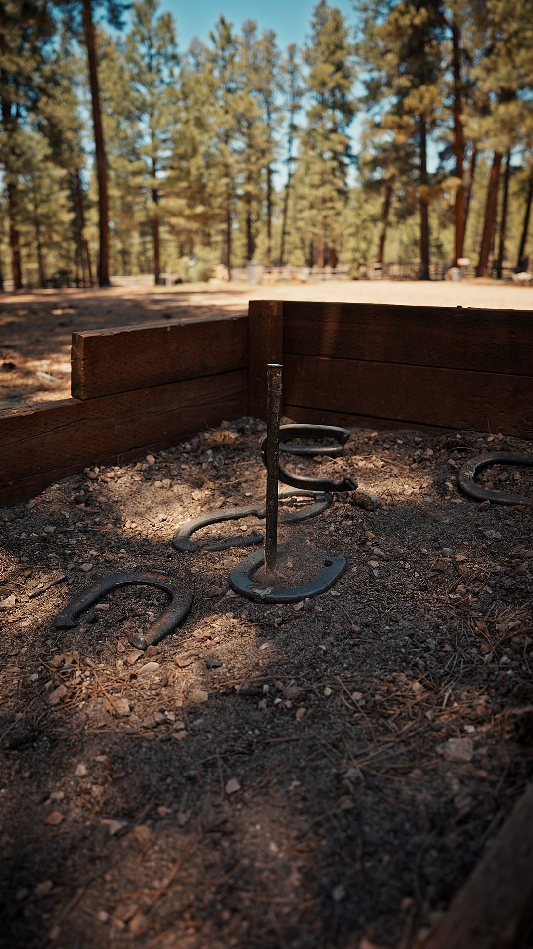 Fire ring with metal grate in a pine forest campsite, surrounded by low brick seating walls.