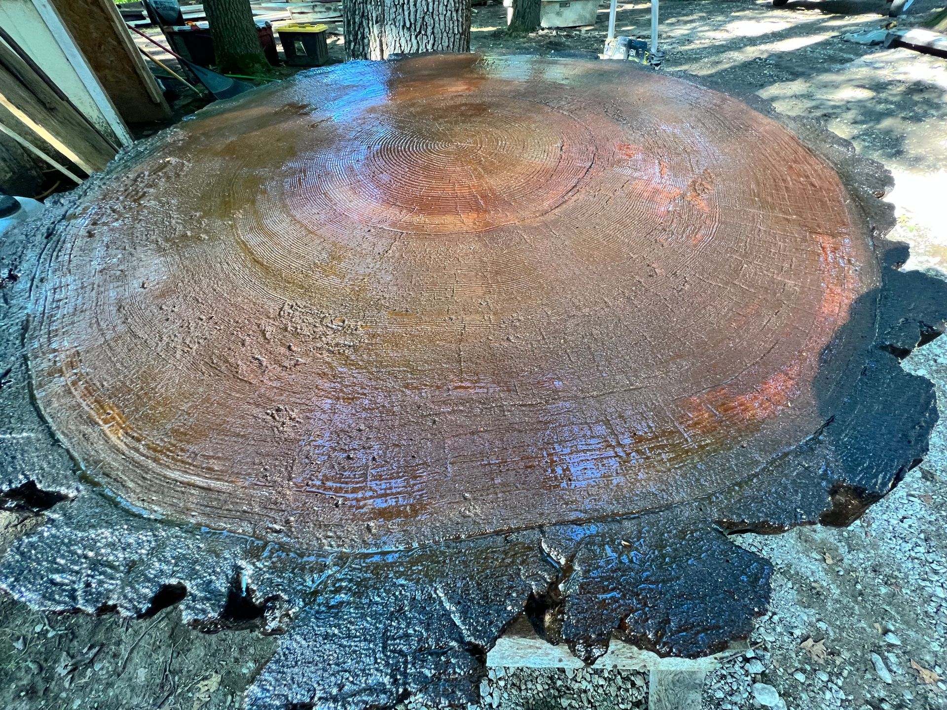 Cement log slab