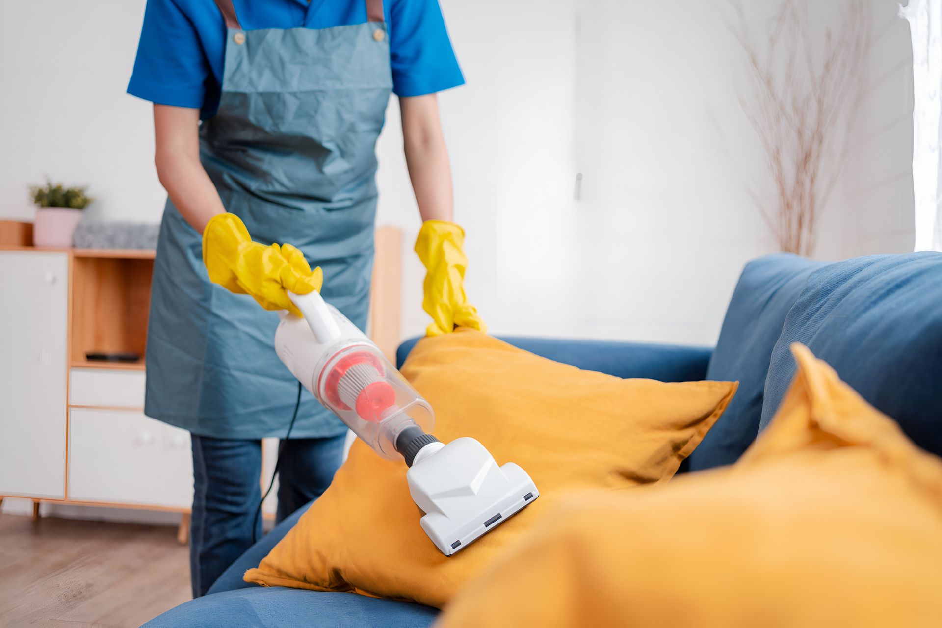 cleaning sofa cushions with equipment
