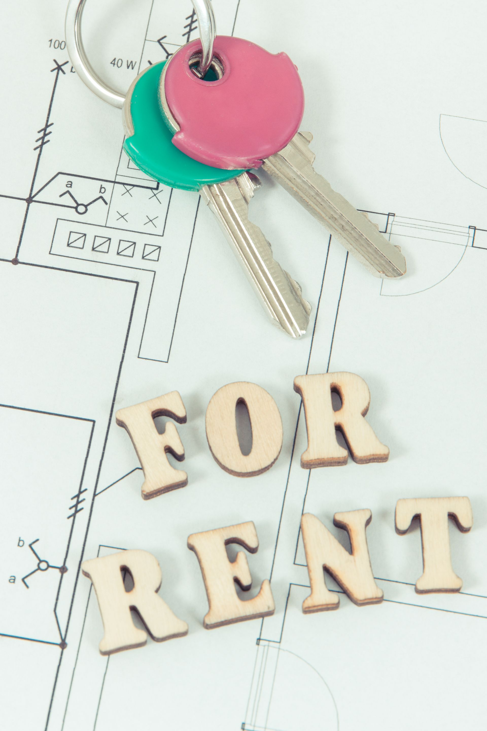 house for rent