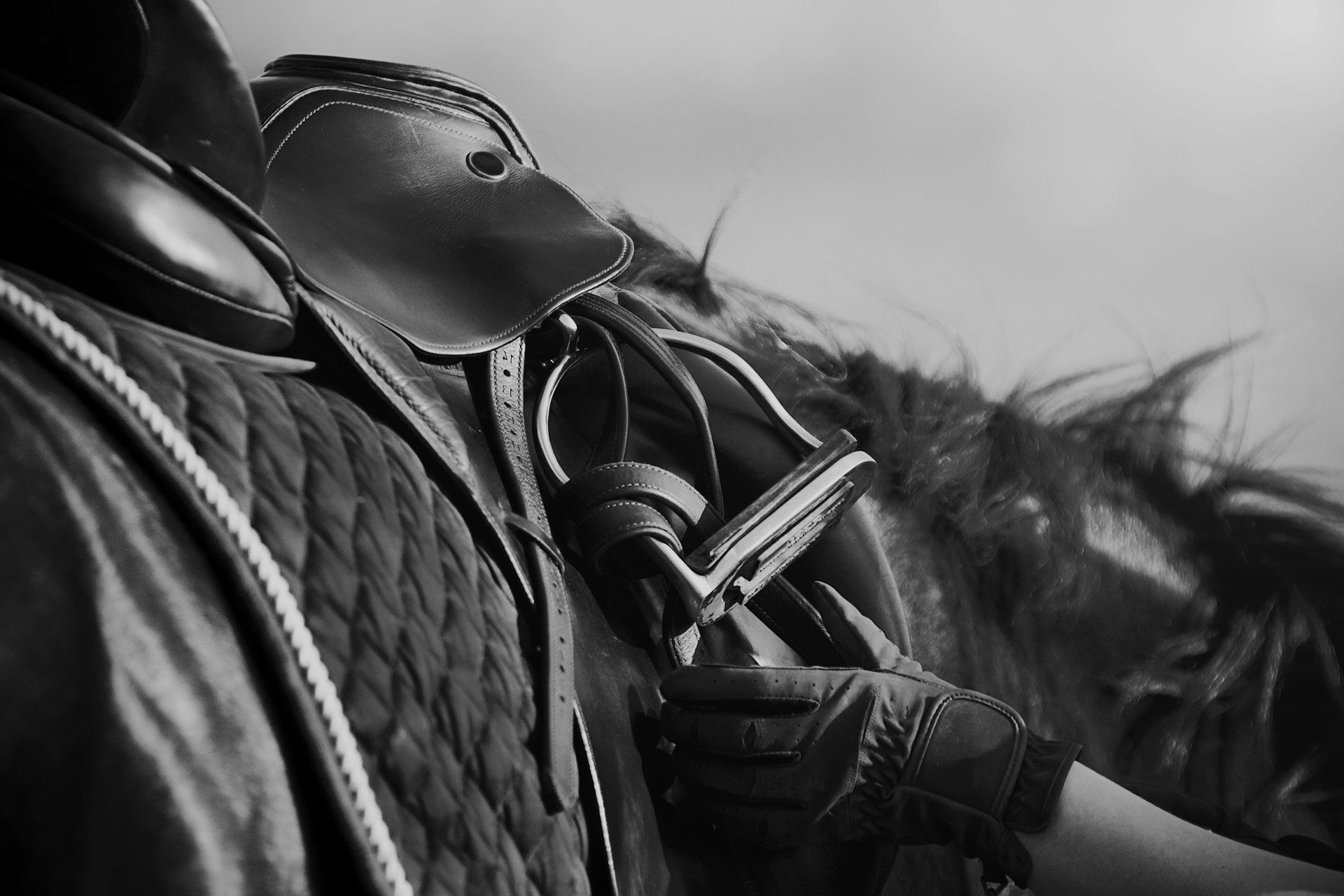 Horse saddle with gloved hand holding reins, outdoors.