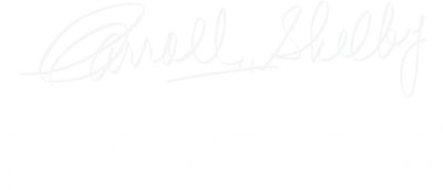 Faint white cursive text reading “Brielle Kelly” on a white background | Dale Adams Automotive Specialists