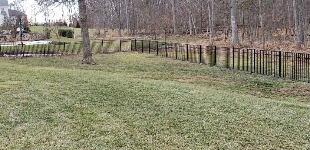 A grassy yard with a black fence leading towards a wooded area. A house is visible in the distance.