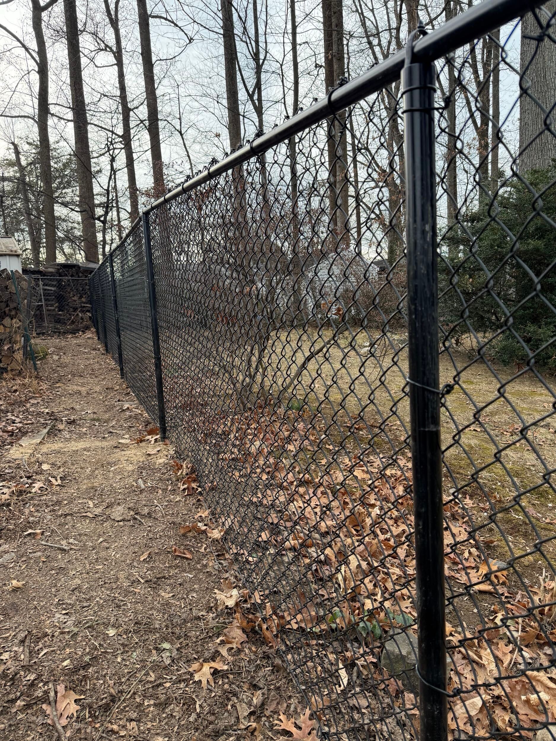 Black chain-link fence in a yard with fallen leaves and trees in the background.