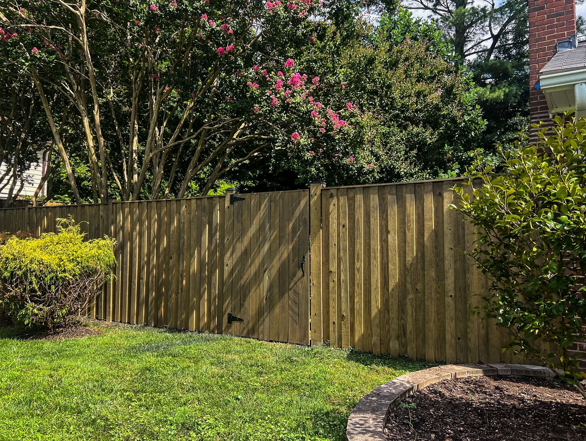 Wooden fence in backyard, green grass, and shrubs, with a flowering tree in the background.