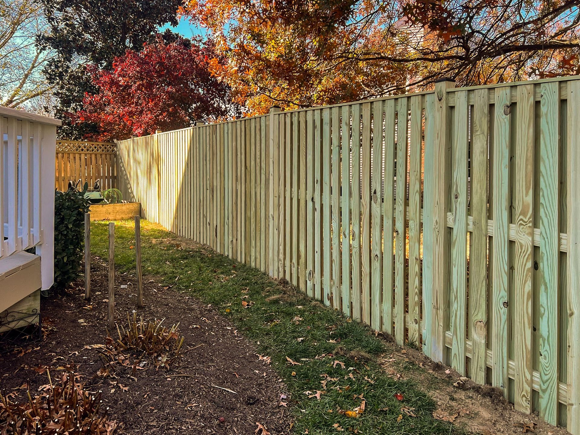 Wooden fence in a yard with fall foliage and grass.