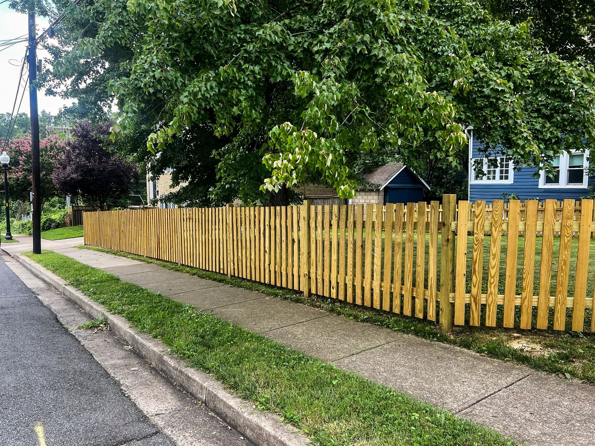 Yellow picket fence along a sidewalk with a green lawn. Trees and a blue house are visible in the background.