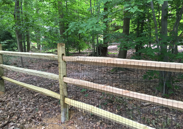 Wooden split-rail fence with mesh, in a wooded area.