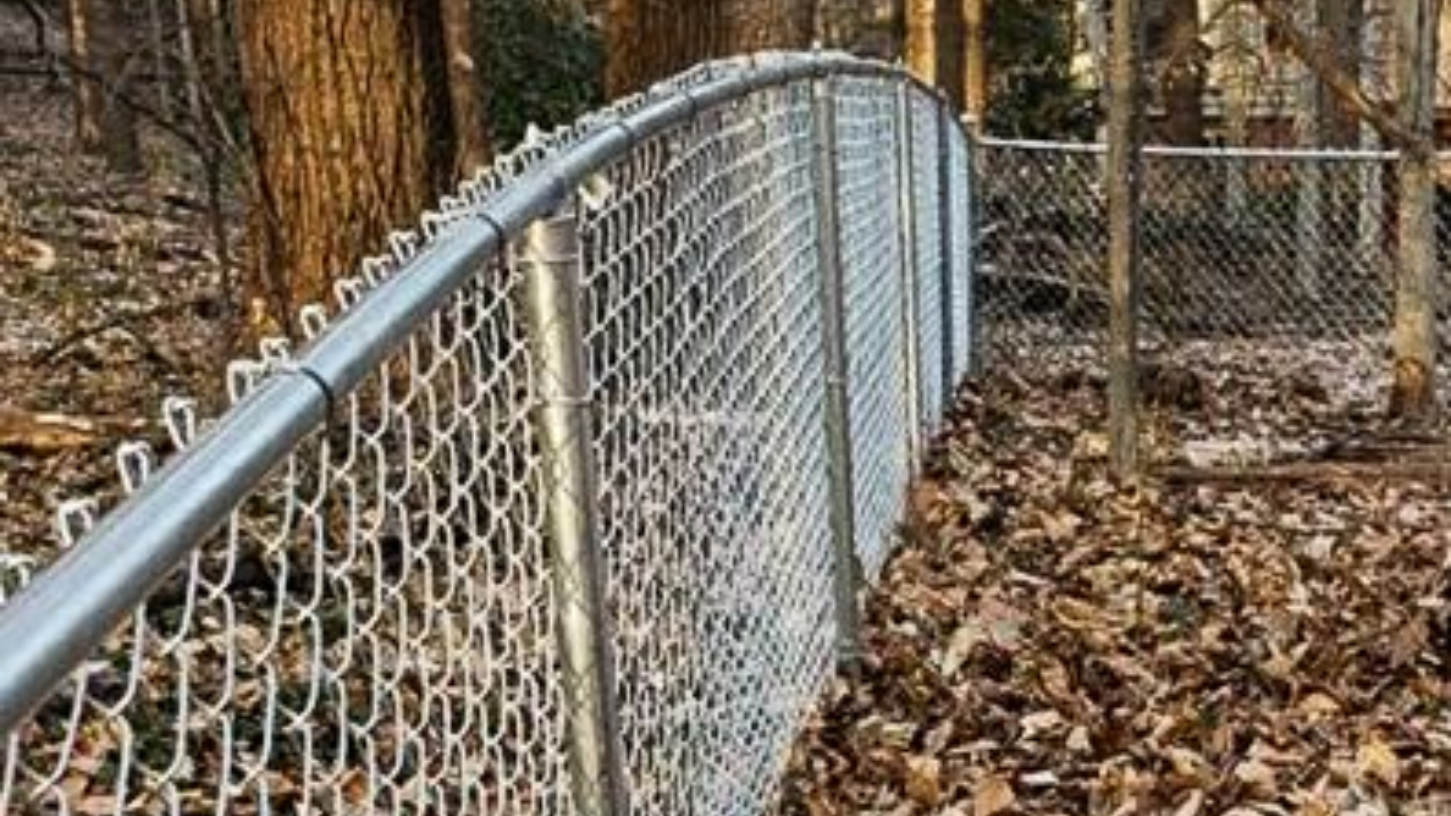 Chain-link fence curves along a wooded area, with autumn leaves on the ground.
