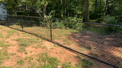 Black chain-link fence in a yard with sparse grass and dirt, with trees in the background.