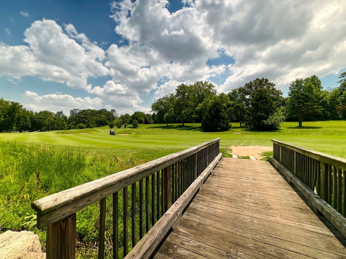 Wooden bridge over a green field with trees and a cloudy blue sky.