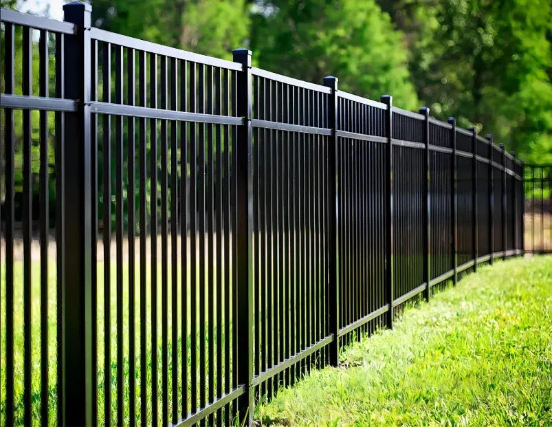 Black metal fence on green grass, separating yard from trees.
