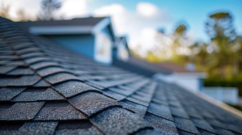 Close-up of a dark-shingled roof with a blurred background of a blue house and trees.