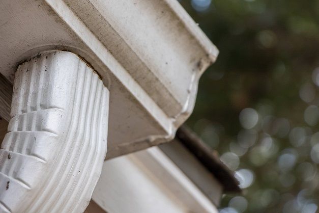 White gutter with downspout, slightly dirty, against a blurry green background.