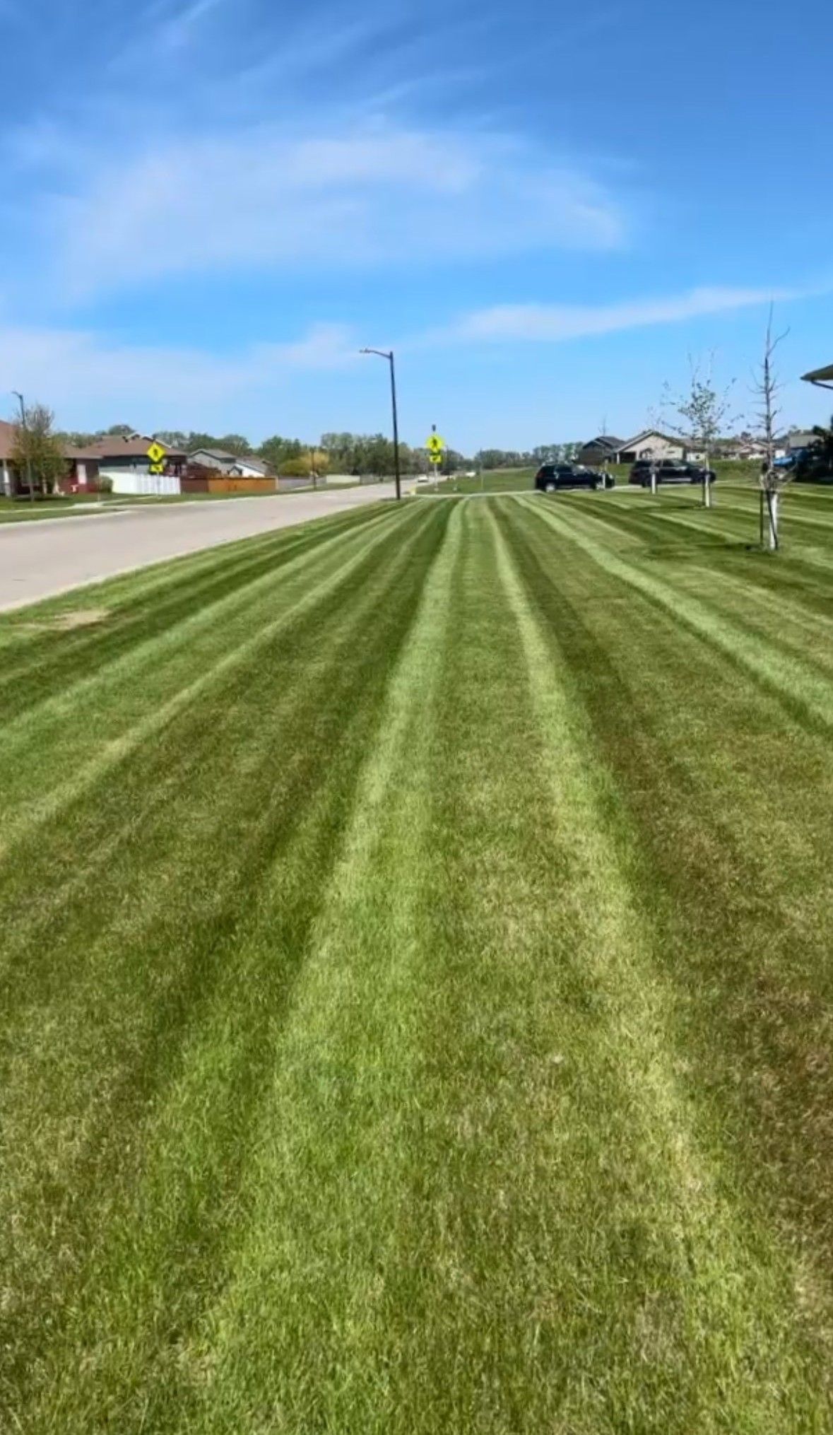 A neatly mowed green lawn with distinct parallel stripes stretching toward a road and blue sky under bright sunlight.