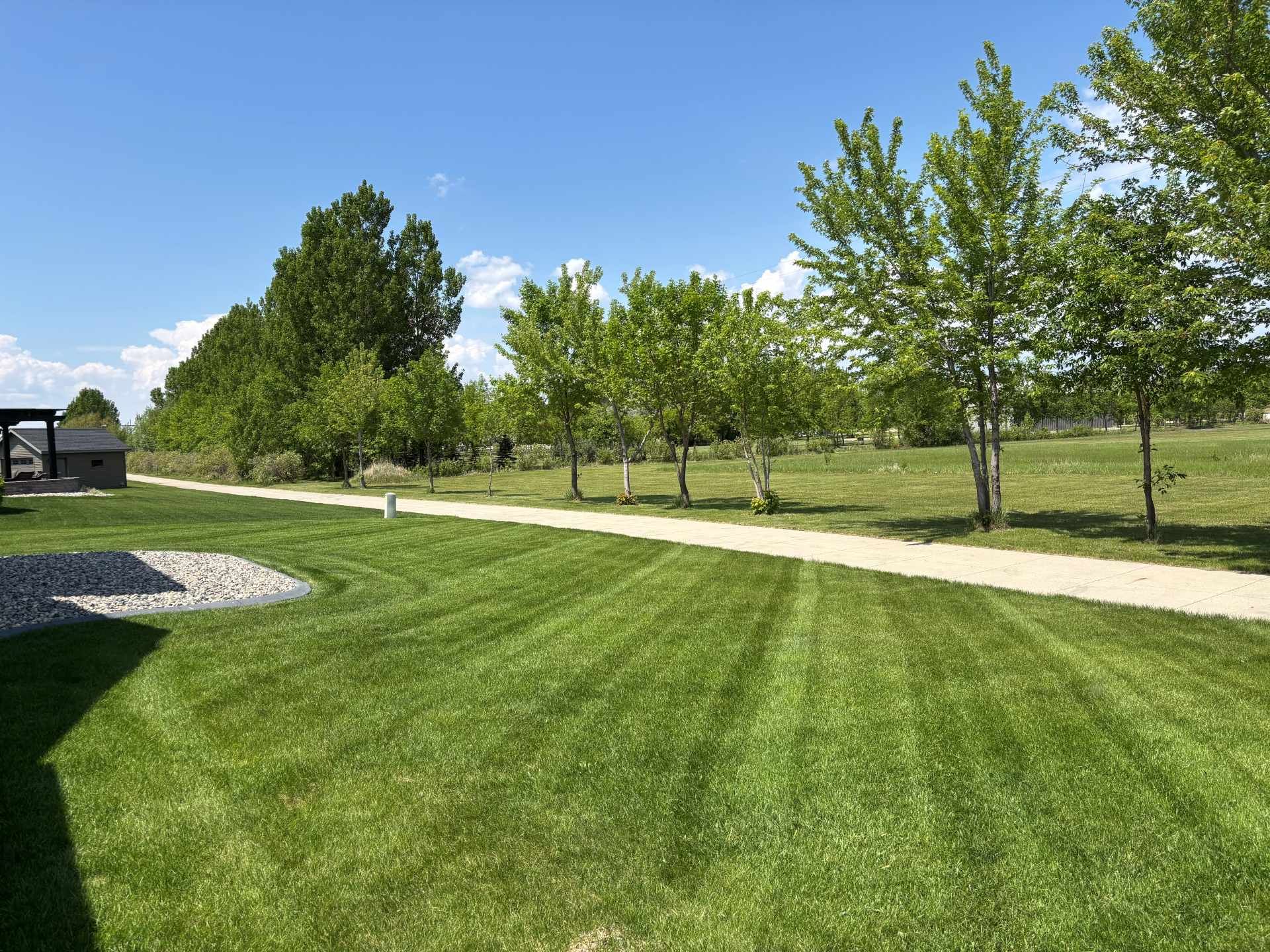 A grassy lawn with mown stripes leads to a gravel path lined with a row of trees under a bright blue sky.