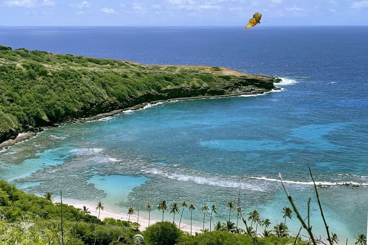 Waikiki beach with Diamond Head in the back