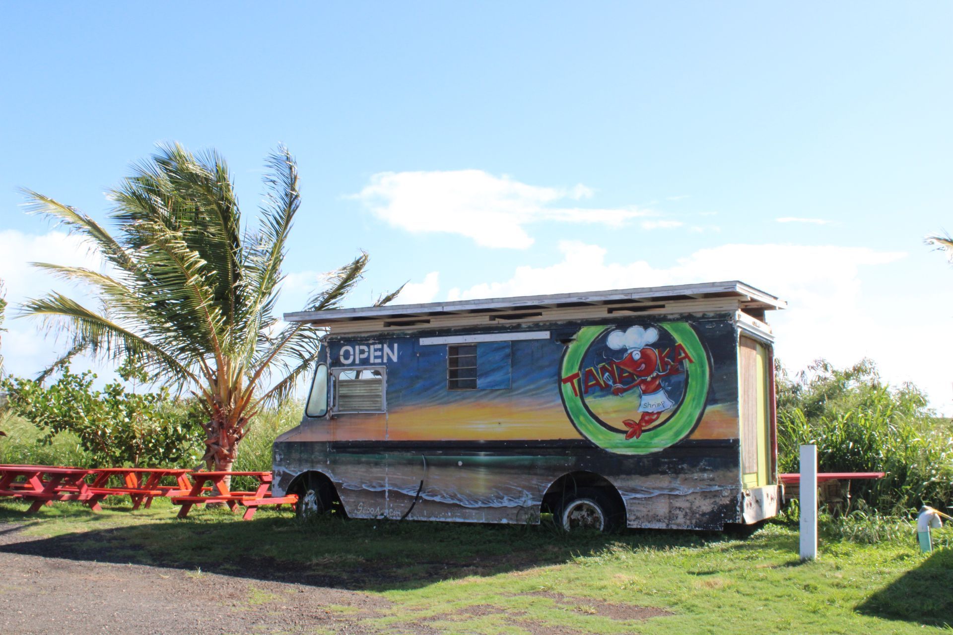 Small food truck beside palm trees in a sunny grassy field
