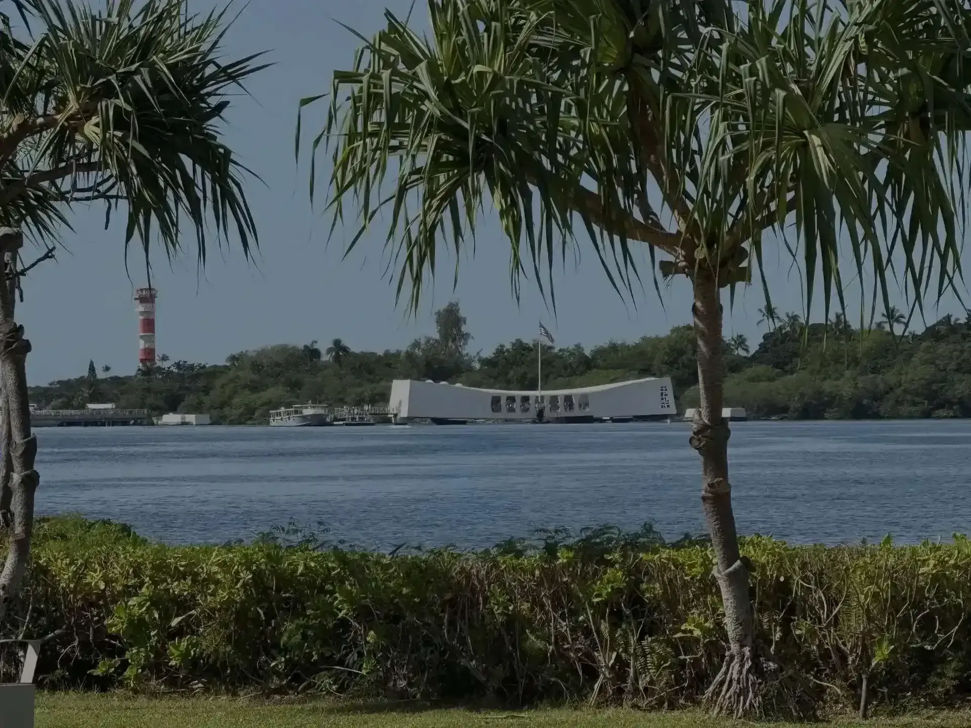 Coastal view with palm trees, blue water, and a large white ferry near a shoreline lighthouse
