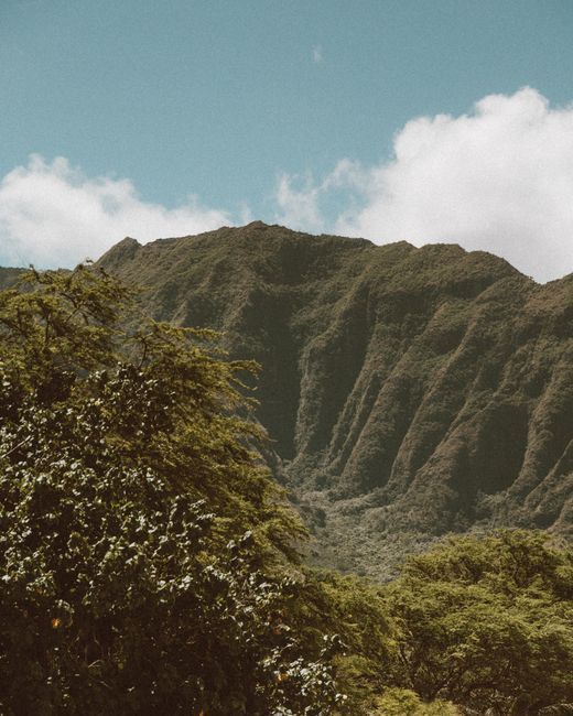 The lush green Waimea Valley on the Oahu North Shore