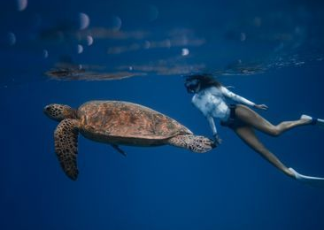 Woman swimming beside a sea turtle in clear blue ocean water