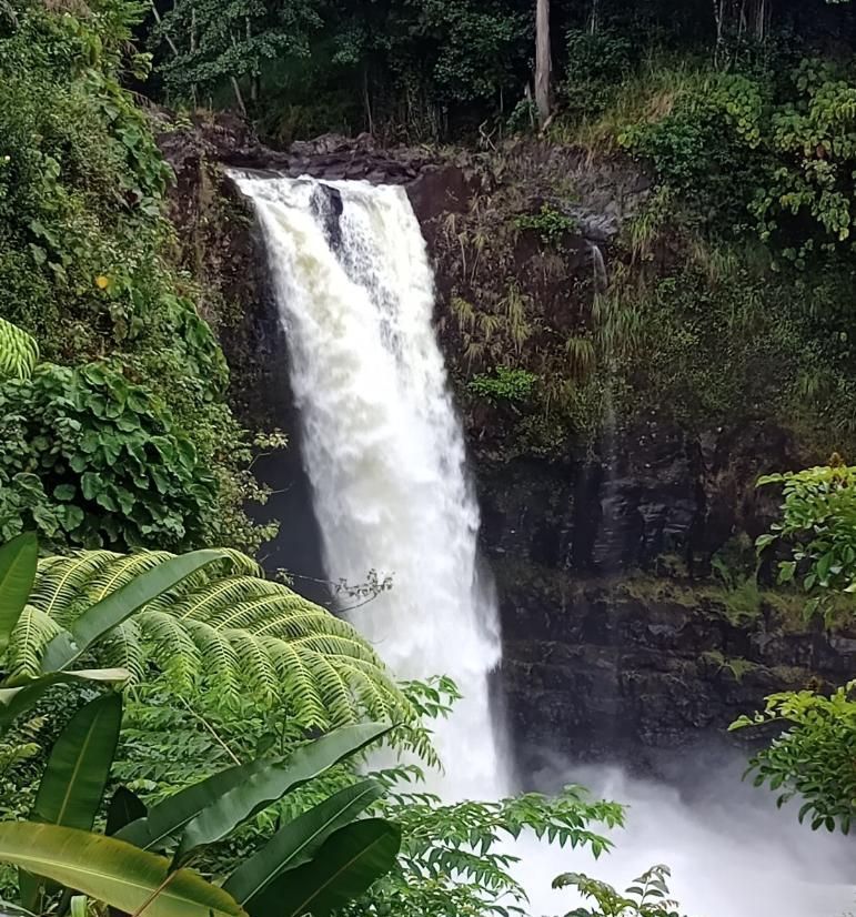 A waterfall flows down a bank