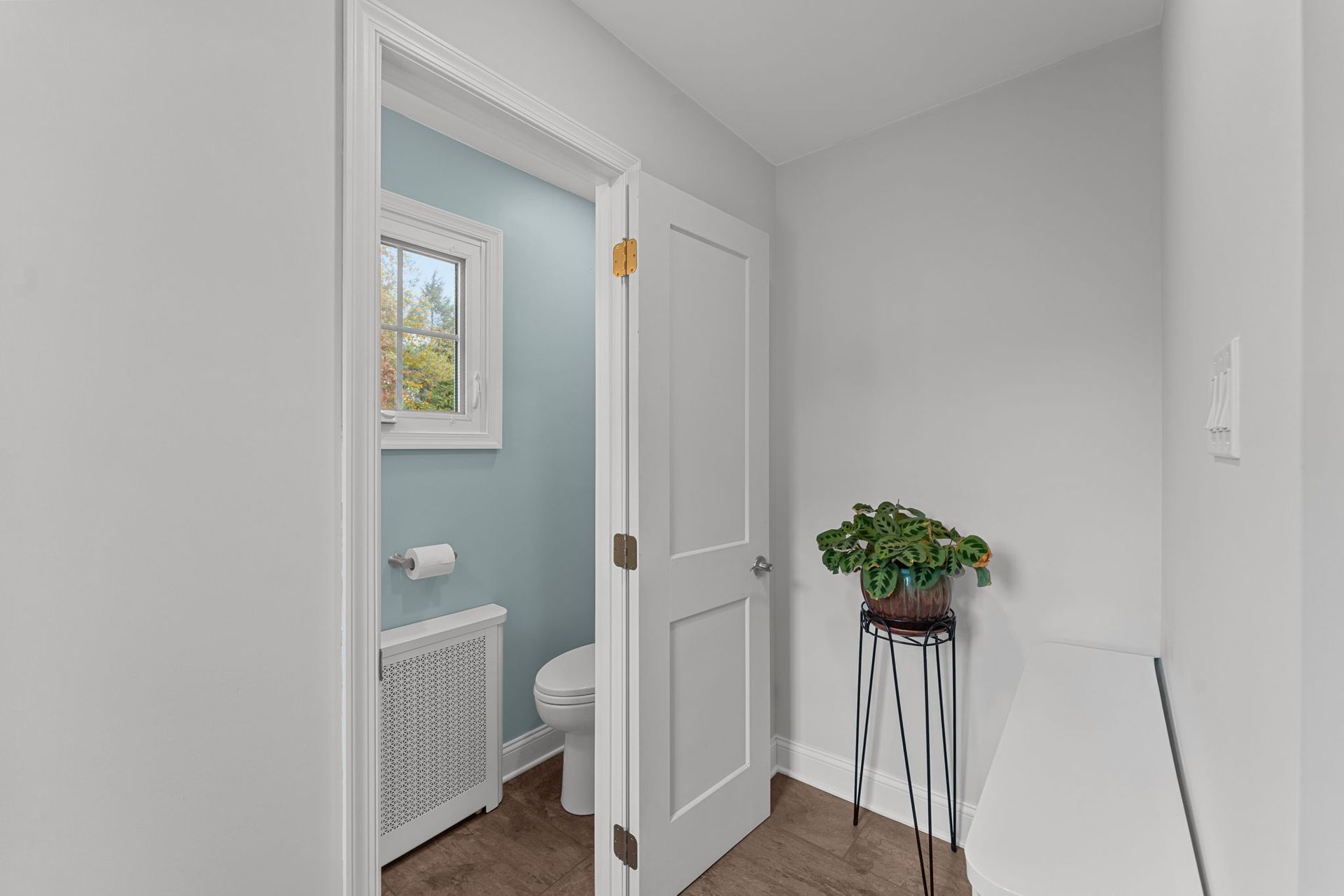 Small hallway with an open bathroom door, light blue walls, white trim, and a potted plant on a stand in Bucks County PA