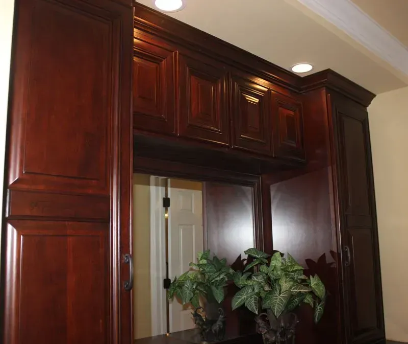 Dark wood built-in cabinets with recessed lights and a mirror above a leafy plant arrangement In Bucks County PA