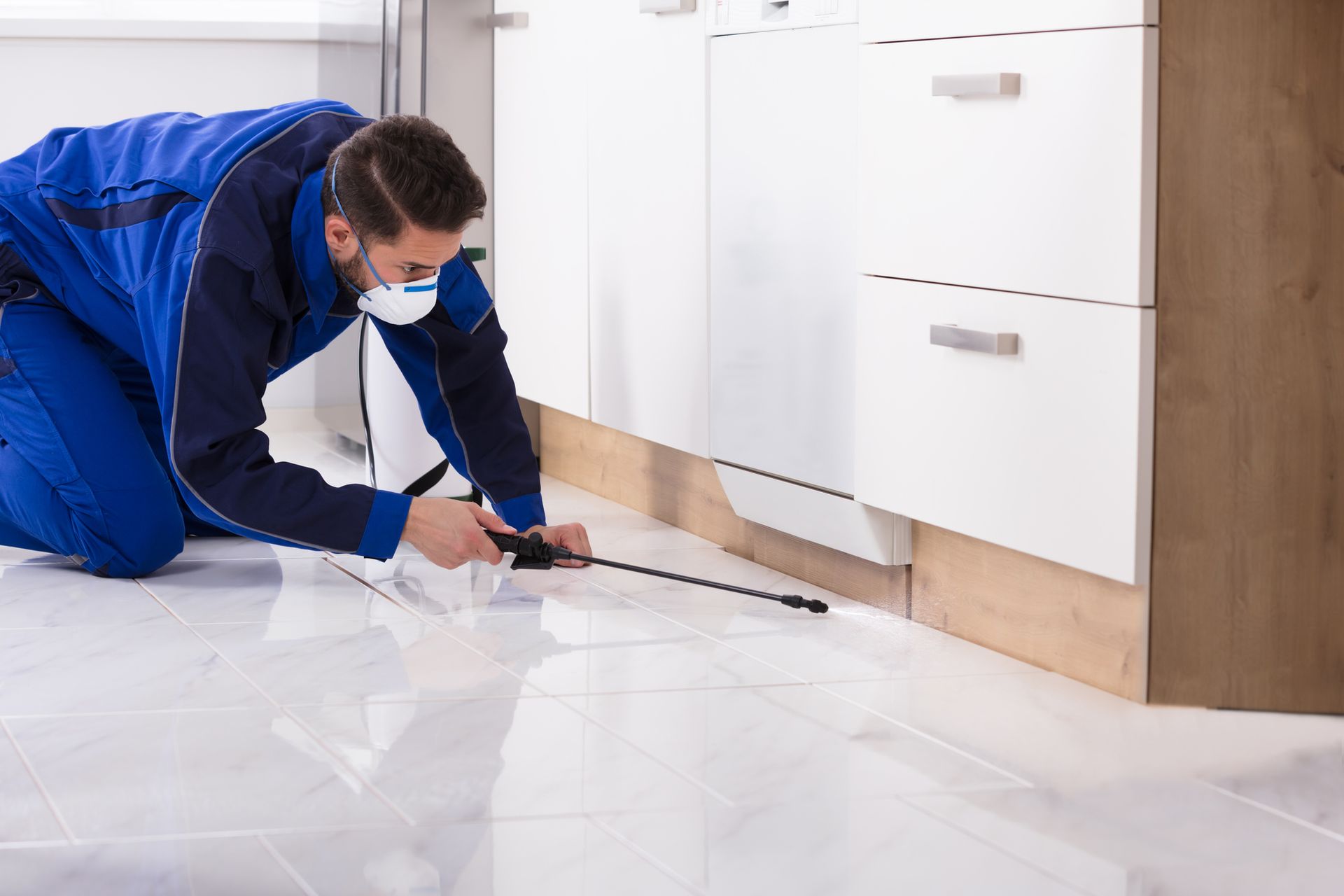 Residential Pest Control in Belleville, NJ Residential Pest Control in Belleville, NJ