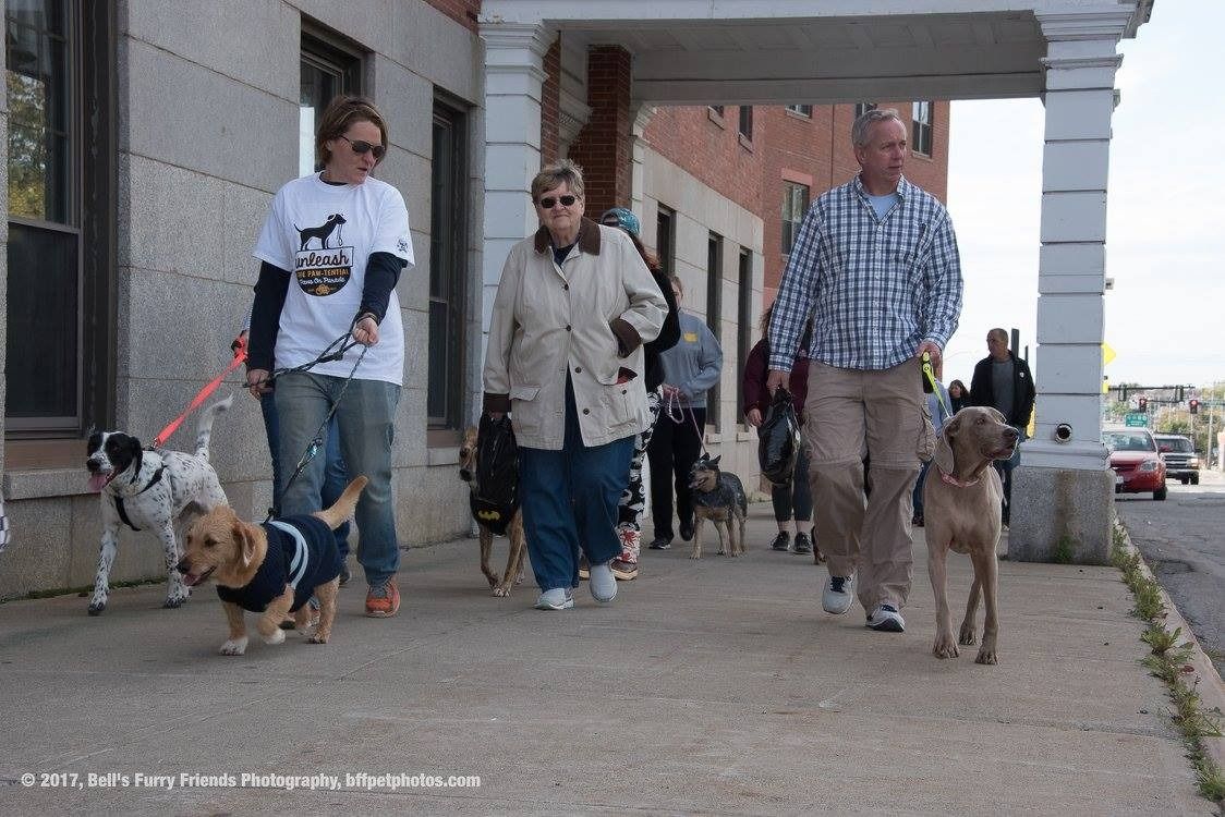 A group of people are walking their dogs down a sidewalk.