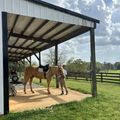 jones-valley-farms-horse